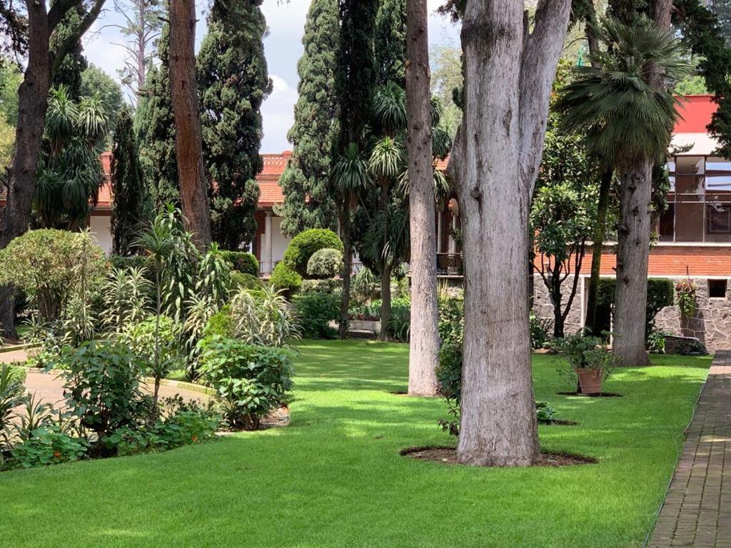 Hotel Express Quinta Soledad Cidade do México Exterior foto